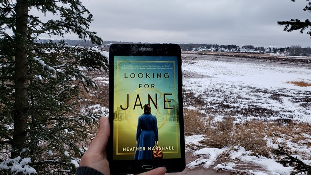 looking for jane book review nytimes